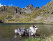 Laghi di Ponteranica dai Piani dell’Avaro con splendide fioriture – 1giu26  - FOTOGALLERY